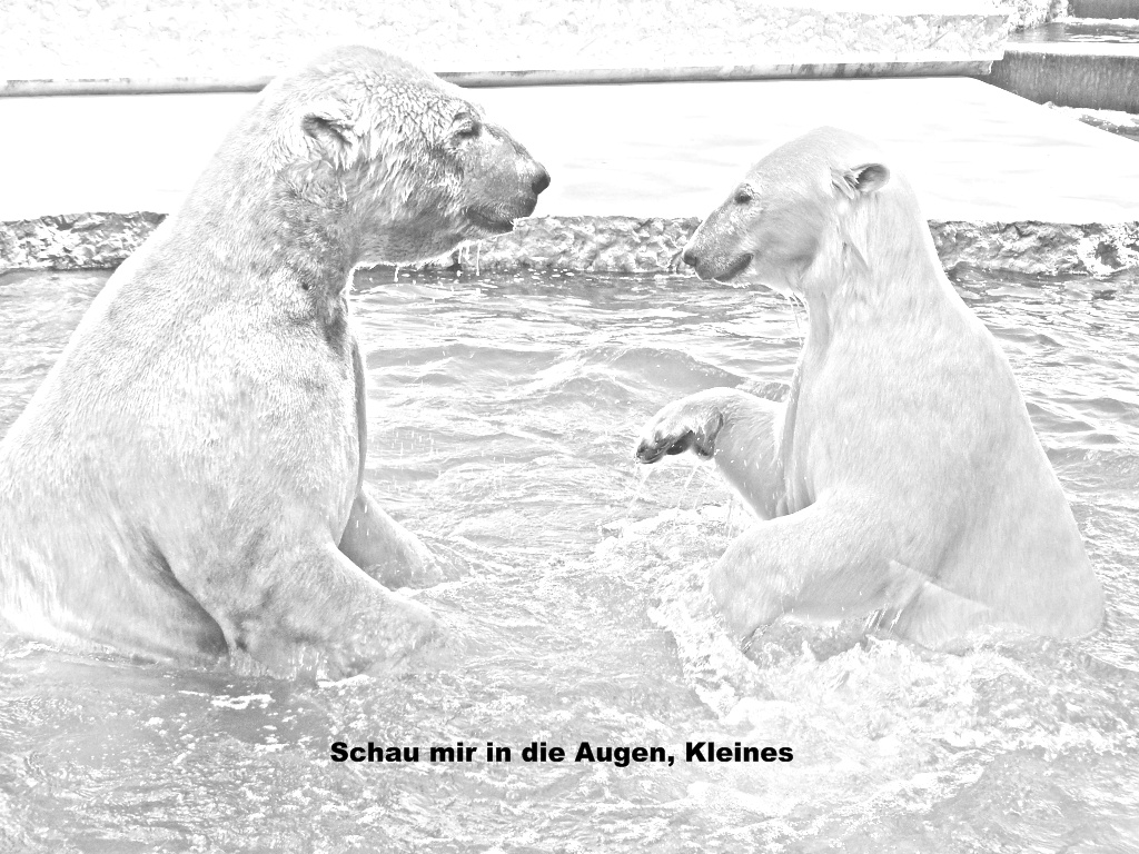 Vitus und Nika